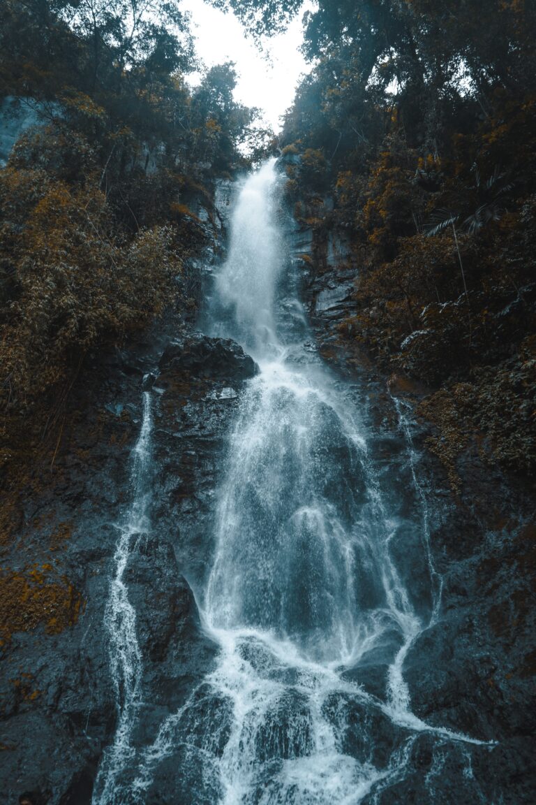 a waterfall in a forest